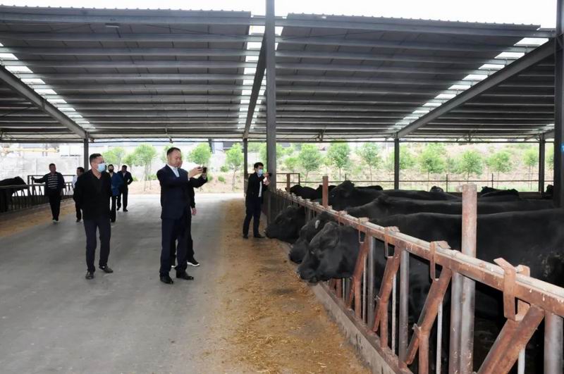 1657092312686138.jpg 640 (11).jpg